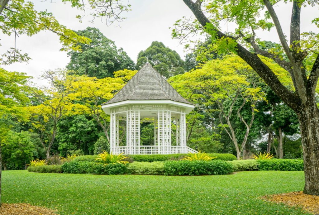 singapore, singapore botanic gardens, plant, tree