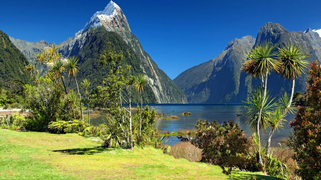 mitre peak, fiordland national park, fjord, vegetation, mountain