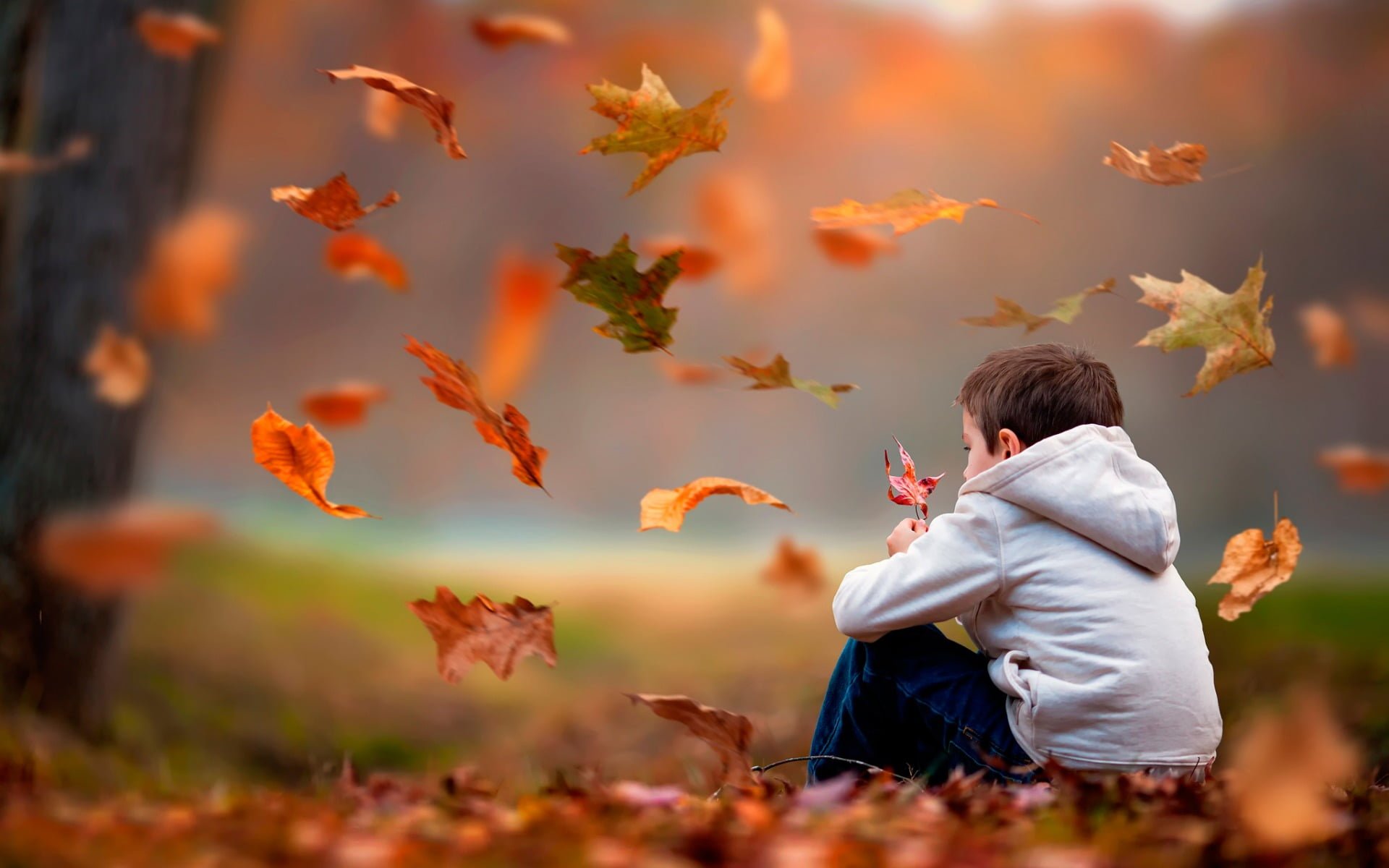 Emptiness Boy, boy's gray hoodie, Baby, cute, autumn, sadness